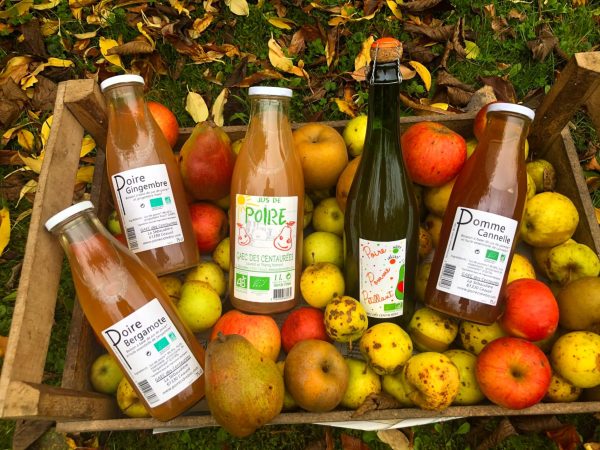 ☘️ Jus de Pomme Bio Normandie - Vins Rouges Harmonieux pour Chaque Occasion