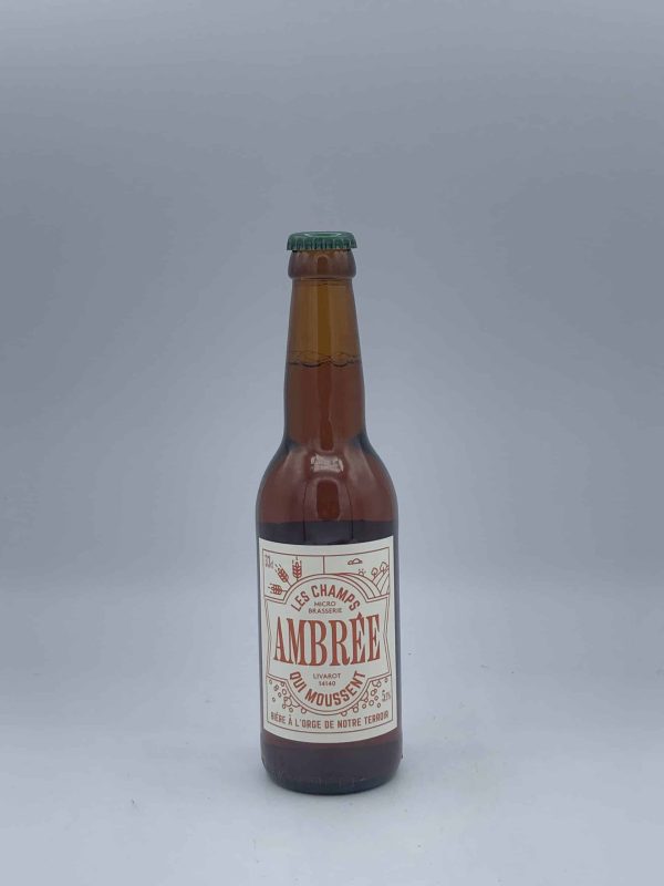 BIERE CHAMPS QUI MOUSSENT AMBREE 33 CL - Vins Rouges Harmonieux pour Chaque Occasion