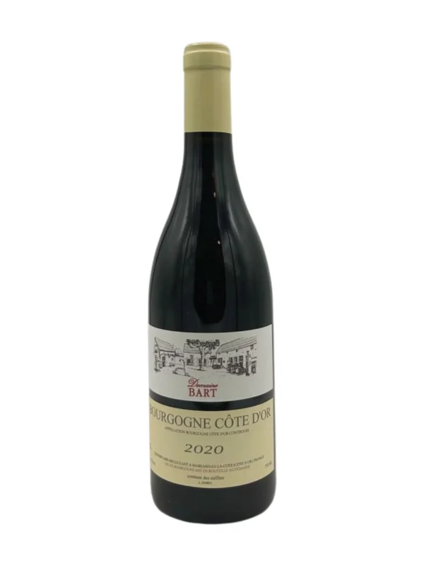Bourgogne Côte d’Or rouge 2020 - Vins Rouges Harmonieux pour Chaque Occasion