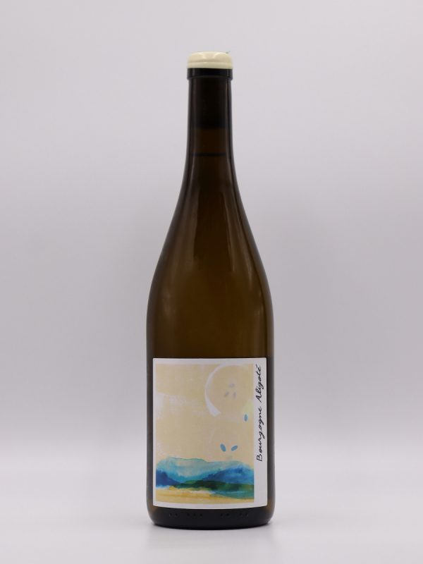 Bourgogne Aligoté - Vins Rouges Harmonieux pour Chaque Occasion
