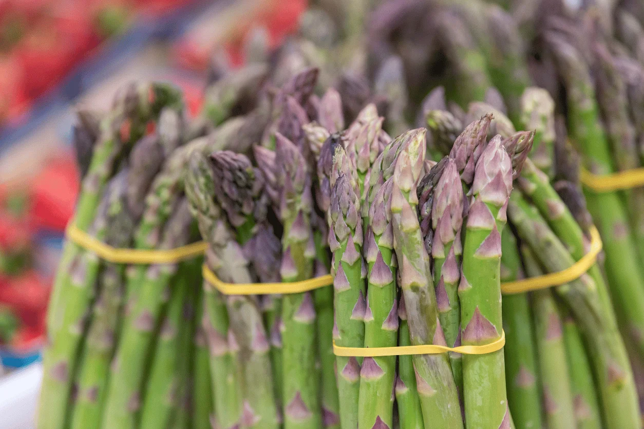 ASPERGE VERTE BOTTE 1KG - Vins Rouges Harmonieux pour Chaque Occasion ASPERGE VERTE BOTTE 1KG - Vins Rouges Harmonieux pour Chaque Occasion