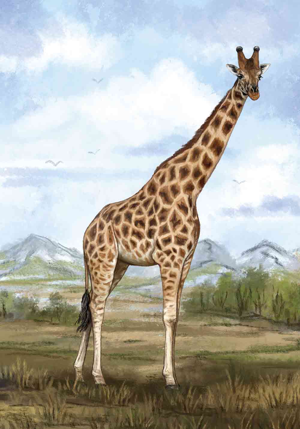 Affiche girafe - Vins Rouges Harmonieux pour Chaque Occasion Affiche girafe - Vins Rouges Harmonieux pour Chaque Occasion