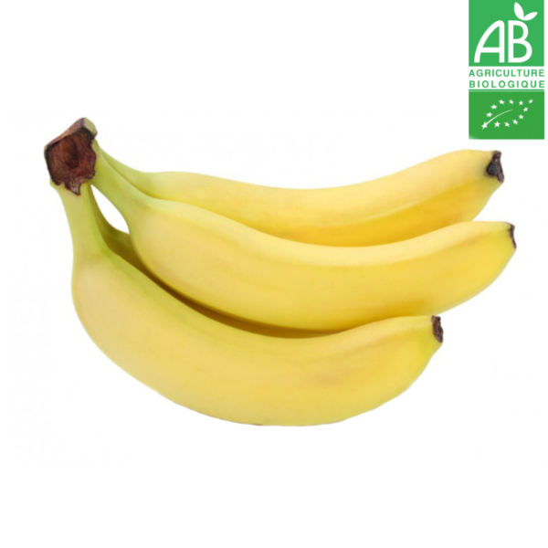 Banane Bio des Antilles Françaises (1kg) - Vins Rouges Harmonieux pour Chaque Occasion Banane Bio des Antilles Françaises (1kg) - Vins Rouges Harmonieux pour Chaque Occasion