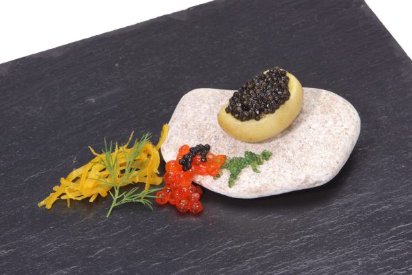 Agatha et caviar Baeri - Vins Rouges Harmonieux pour Chaque Occasion