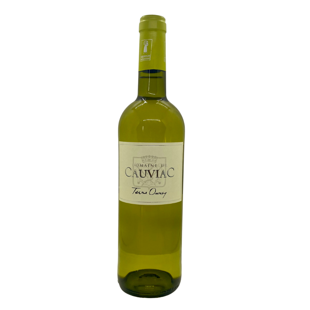 BLANC TERRA OURSY 75 CL - Vins Rouges Harmonieux pour Chaque Occasion BLANC TERRA OURSY 75 CL - Vins Rouges Harmonieux pour Chaque Occasion