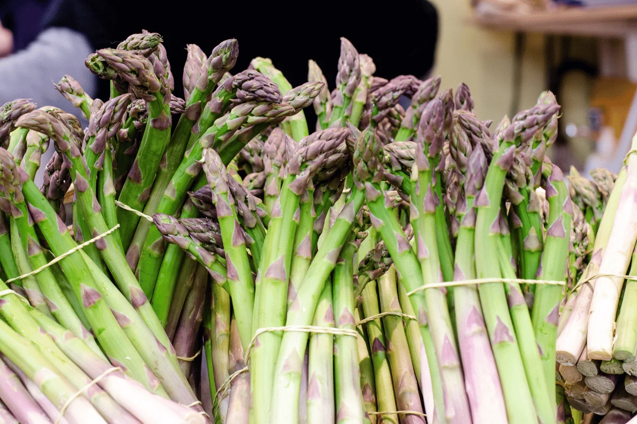 ASPERGE VERTE 500GR - Vins Rouges Harmonieux pour Chaque Occasion ASPERGE VERTE 500GR - Vins Rouges Harmonieux pour Chaque Occasion