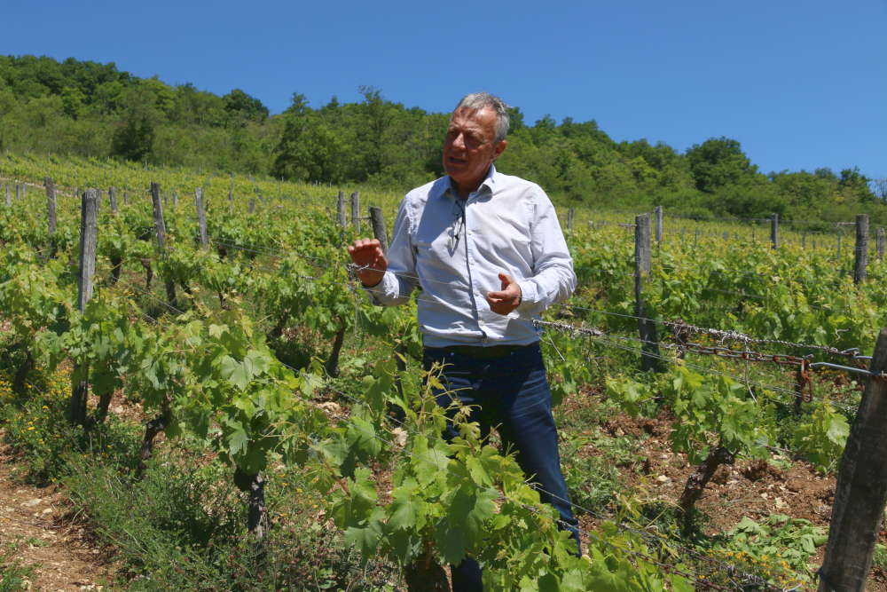 Abonnement Découverte (Cerdon du Bugey) - Vins Rouges Harmonieux pour Chaque Occasion Abonnement Découverte (Cerdon du Bugey) - Vins Rouges Harmonieux pour Chaque Occasion