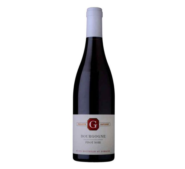 Bourgogne Pinot Noir – Philippe Gavignet - Vins Rouges Harmonieux pour Chaque Occasion