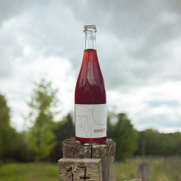 amourette 2024 - Vins Rouges Harmonieux pour Chaque Occasion