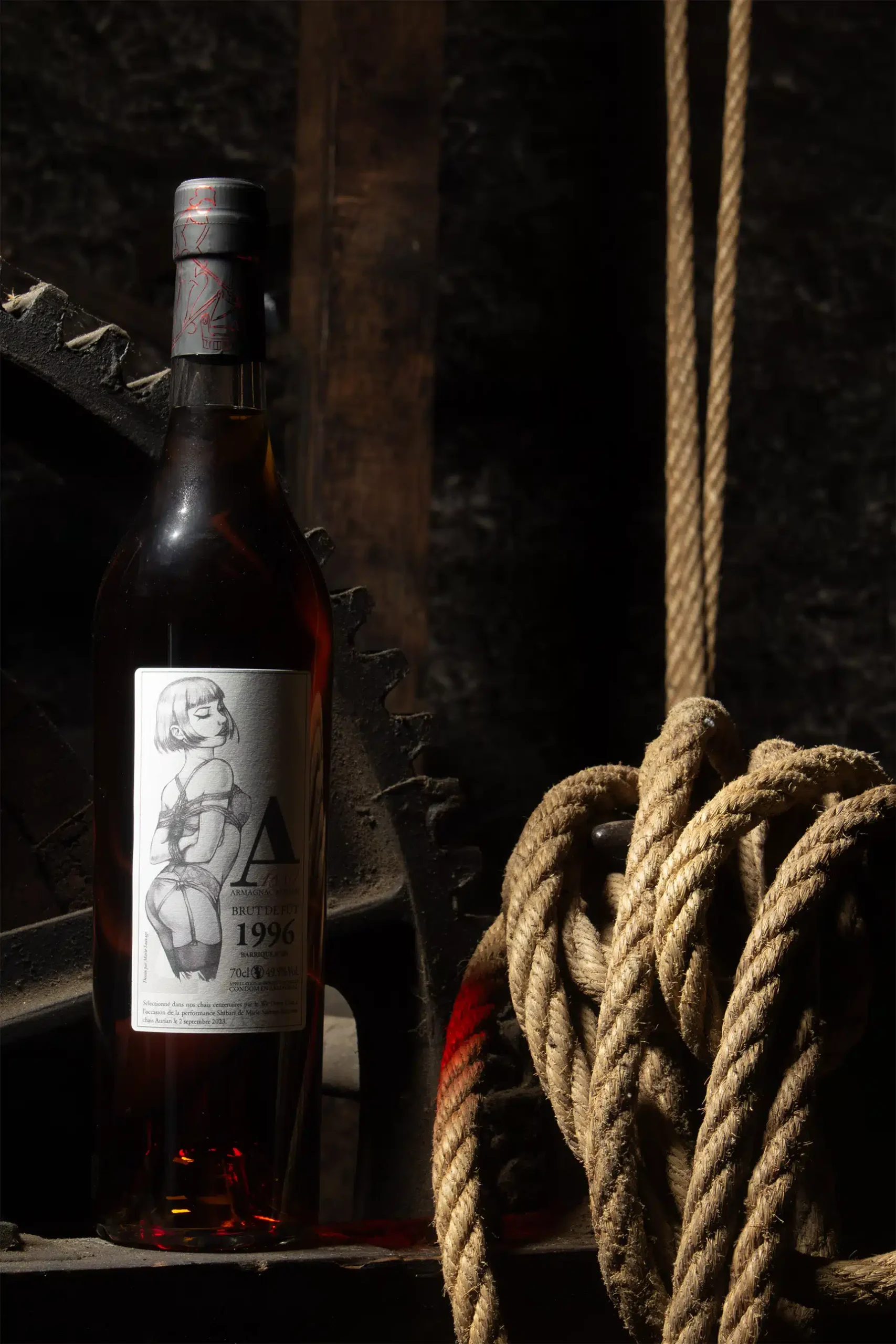 Armagnac 1996 – Édition Limitée Shibari - Vins Rouges Harmonieux pour Chaque Occasion Armagnac 1996 – Édition Limitée Shibari - Vins Rouges Harmonieux pour Chaque Occasion