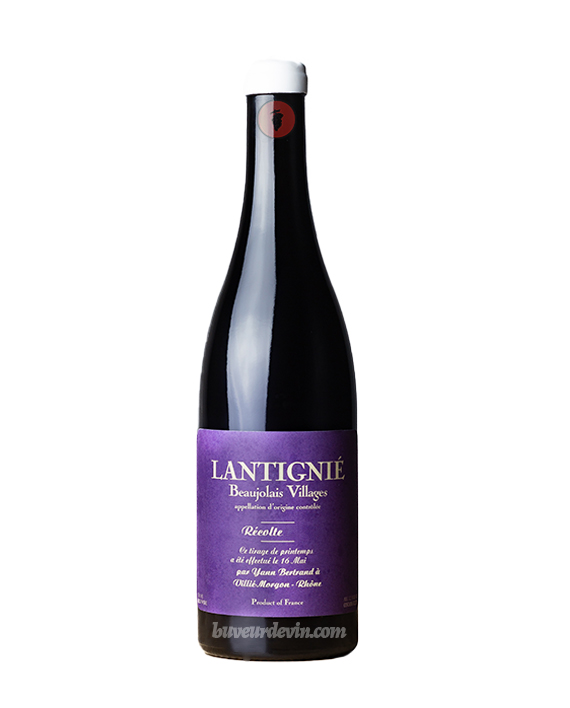 Bertrand (Yann) – Lantignié 2023 - Vins Rouges Harmonieux pour Chaque Occasion Bertrand (Yann) – Lantignié 2023 - Vins Rouges Harmonieux pour Chaque Occasion