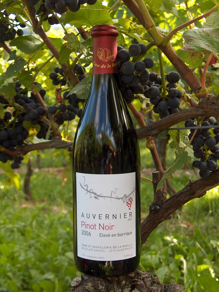 Auvernier | Pinot Noir «élevé en barrique» - Vins Rouges Harmonieux pour Chaque Occasion Auvernier | Pinot Noir «élevé en barrique» - Vins Rouges Harmonieux pour Chaque Occasion