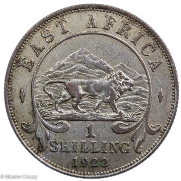 Afrique de l&rsquo;Est britannique Georges V shilling 1922 - Vins Rouges Harmonieux pour Chaque Occasion