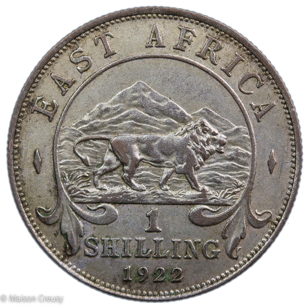 Afrique de l’Est britannique Georges V shilling 1922 - Vins Rouges Harmonieux pour Chaque Occasion Afrique de l’Est britannique Georges V shilling 1922 - Vins Rouges Harmonieux pour Chaque Occasion