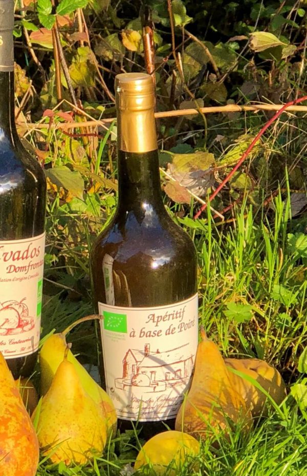 ☘️ Apéritif de Poiré Bio - Vins Rouges Harmonieux pour Chaque Occasion