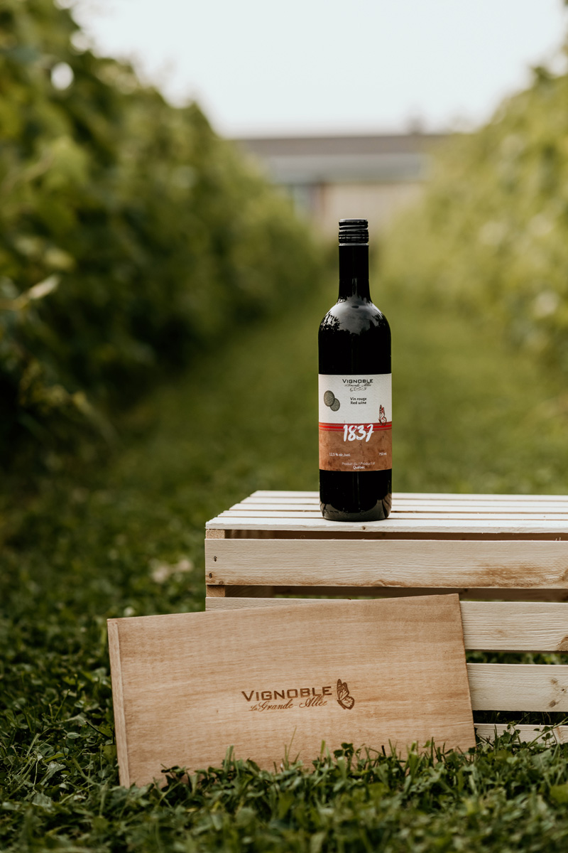 1837 - Vins Rouges Harmonieux pour Chaque Occasion 1837 - Vins Rouges Harmonieux pour Chaque Occasion