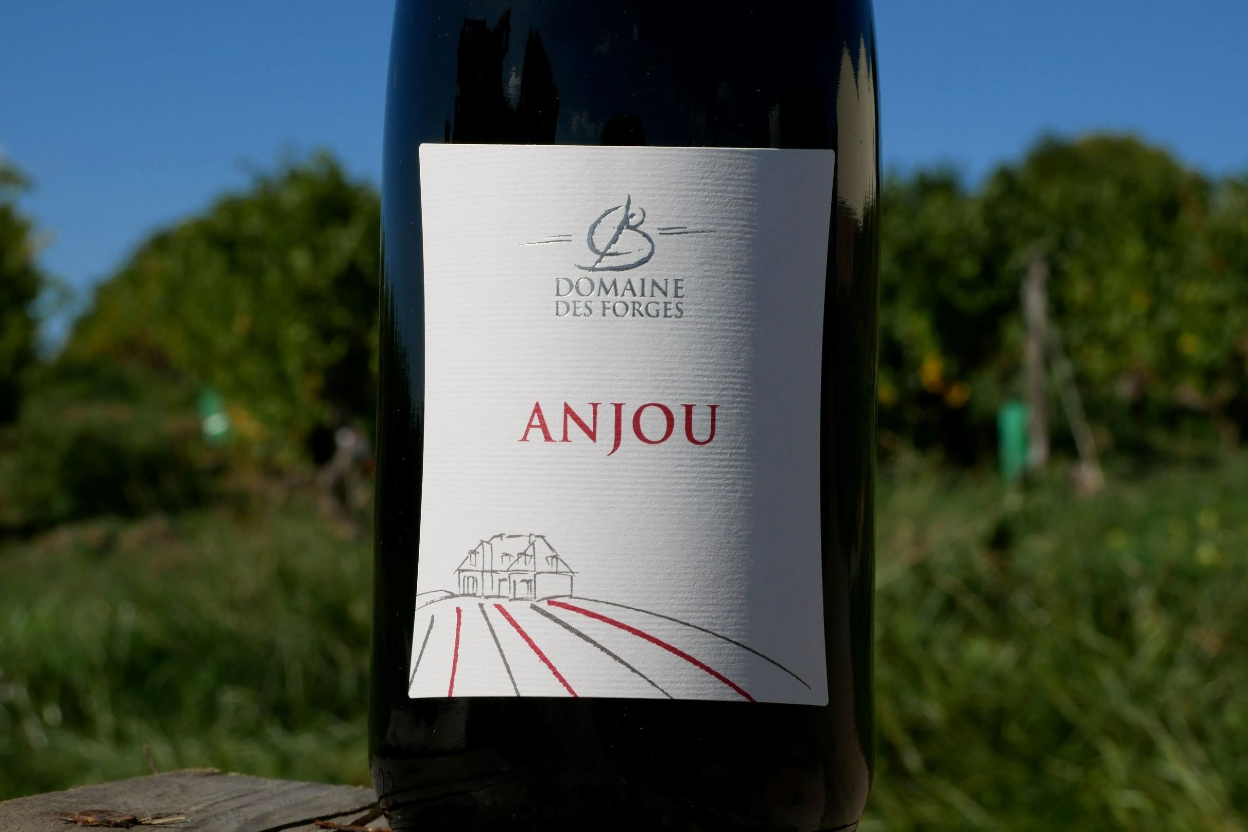 Anjou Rouge - Vins Rouges Harmonieux pour Chaque Occasion Anjou Rouge - Vins Rouges Harmonieux pour Chaque Occasion