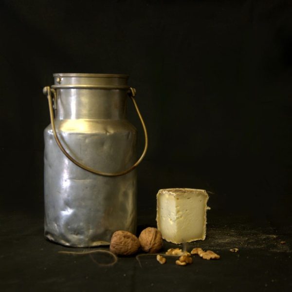 1/4 Tomme brebis - Vins Rouges Harmonieux pour Chaque Occasion
