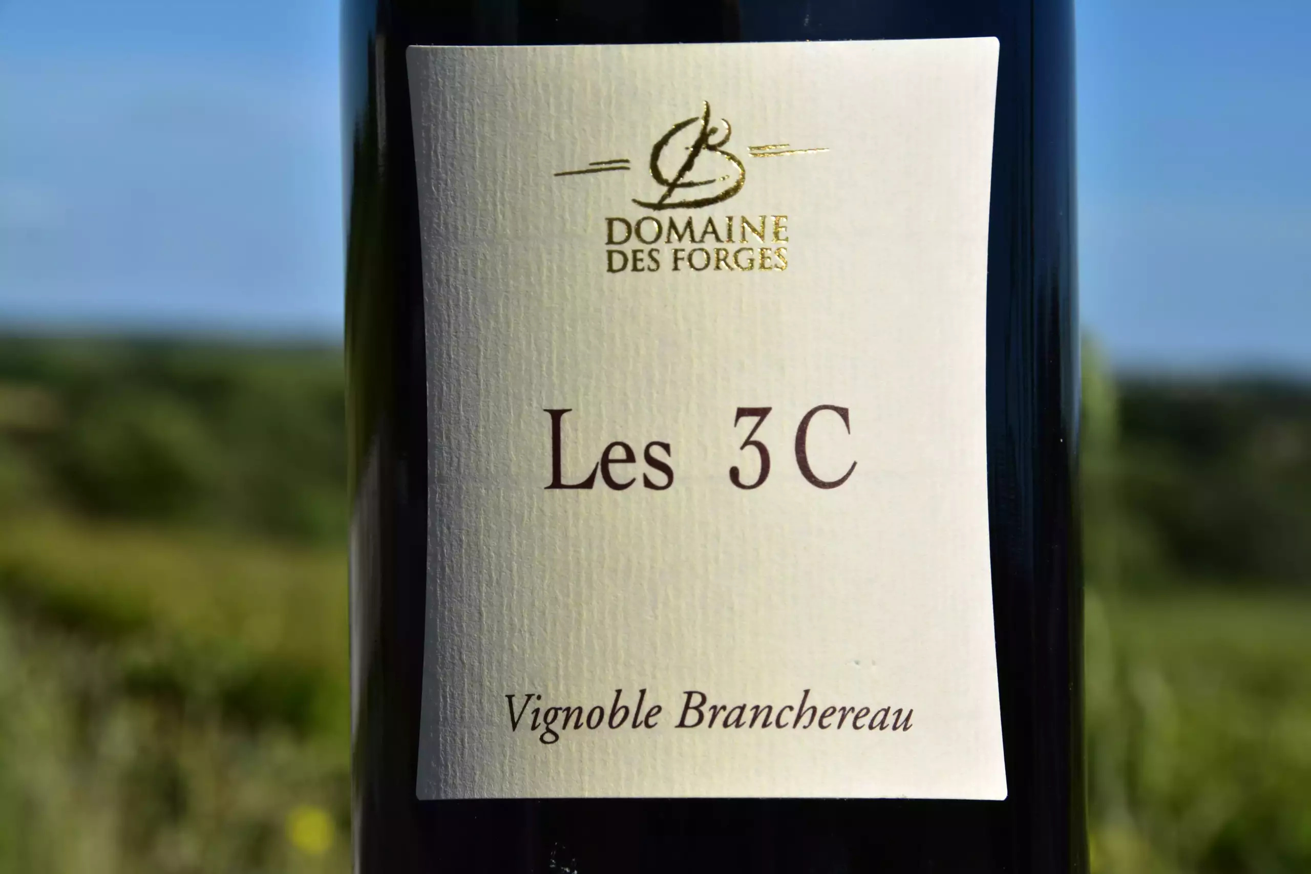 Anjou Villages “Les 3 C” 2024 - Vins Rouges Harmonieux pour Chaque Occasion Anjou Villages “Les 3 C” 2024 - Vins Rouges Harmonieux pour Chaque Occasion