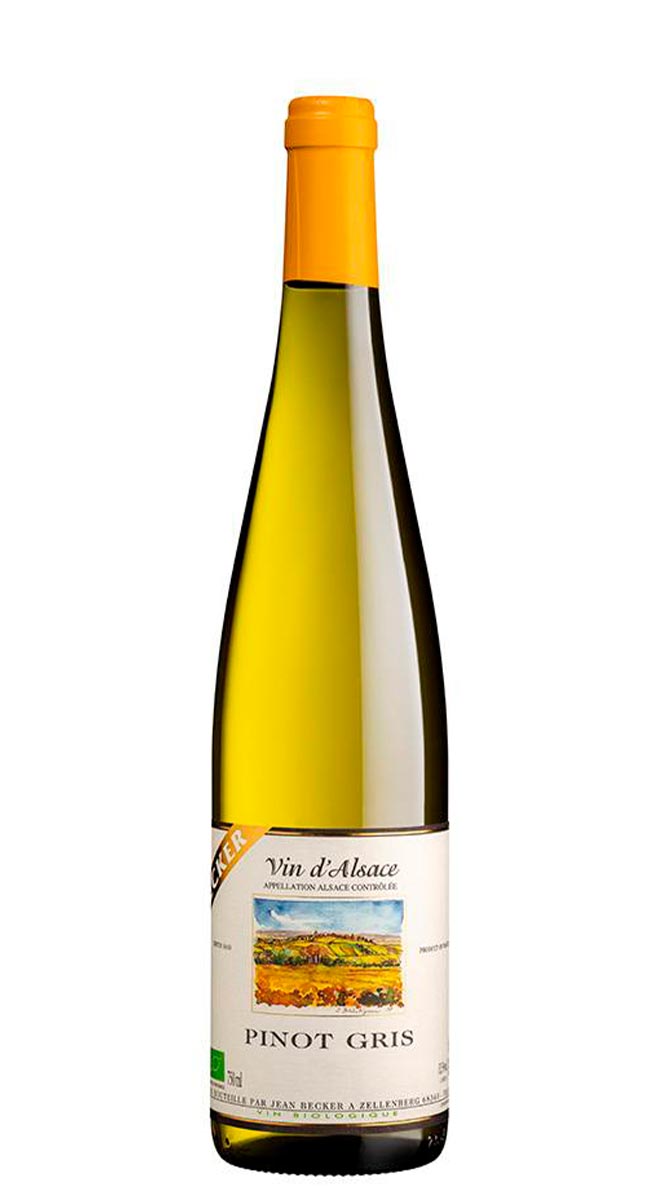 Alsace Pinot Gris 2023 - Vins Rouges Harmonieux pour Chaque Occasion Alsace Pinot Gris 2023 - Vins Rouges Harmonieux pour Chaque Occasion