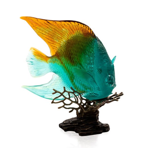 Ambre greem royal angelfish mer de corail daum - Vins Rouges Harmonieux pour Chaque Occasion