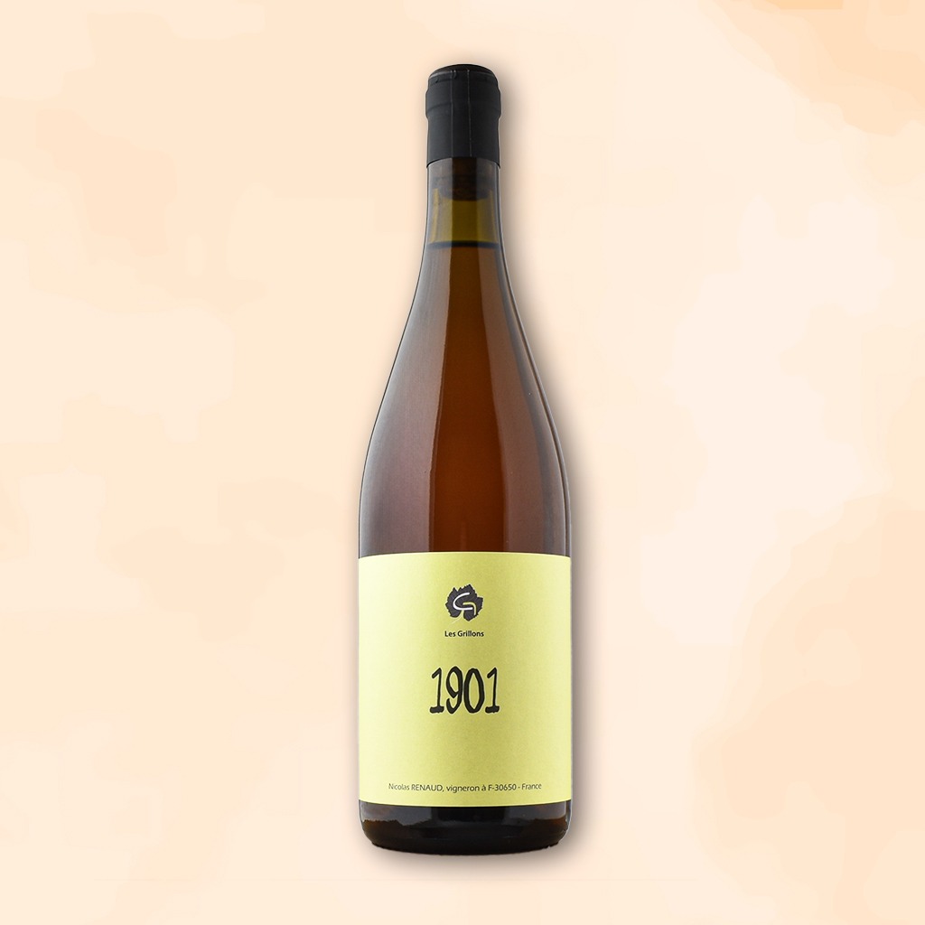 1901 - Vins Rouges Harmonieux pour Chaque Occasion 1901 - Vins Rouges Harmonieux pour Chaque Occasion