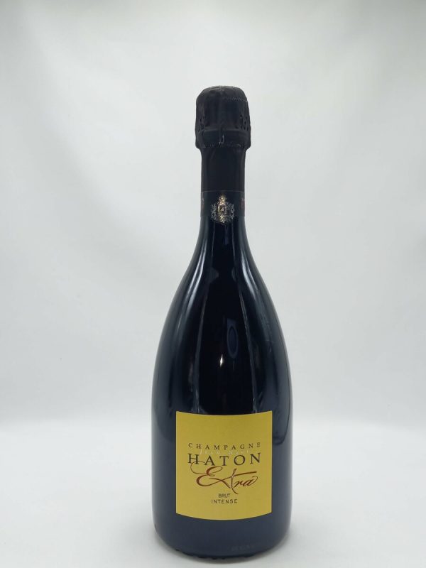 Brut Extra - Vins Rouges Harmonieux pour Chaque Occasion