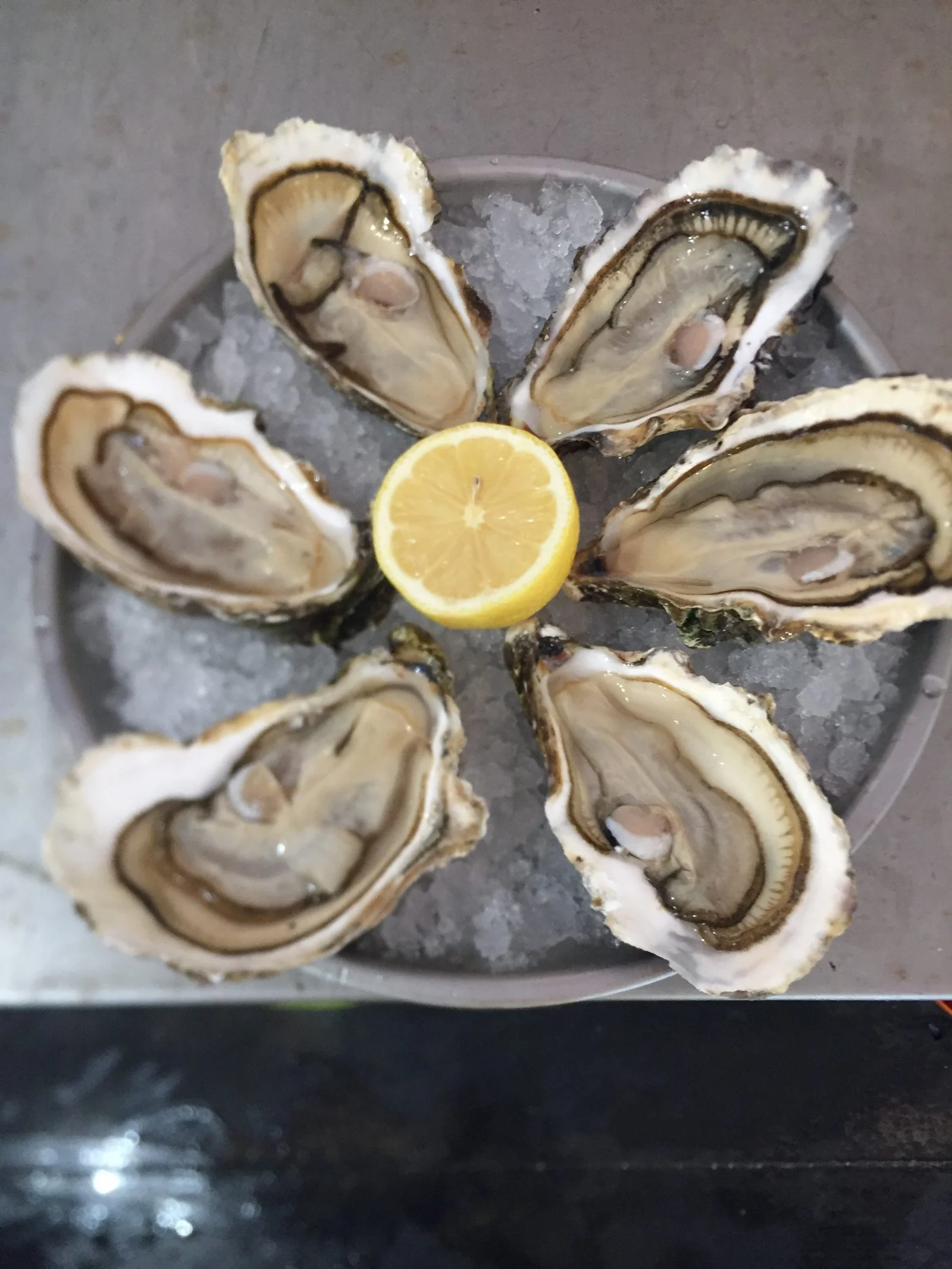 6 Huîtres Belles Moyennes Spéciales - Vins Rouges Harmonieux pour Chaque Occasion 6 Huîtres Belles Moyennes Spéciales - Vins Rouges Harmonieux pour Chaque Occasion