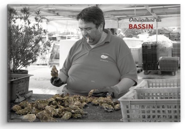 Bordeaux aimant/magnet Ostréiculture au BASSIN - Vins Rouges Harmonieux pour Chaque Occasion